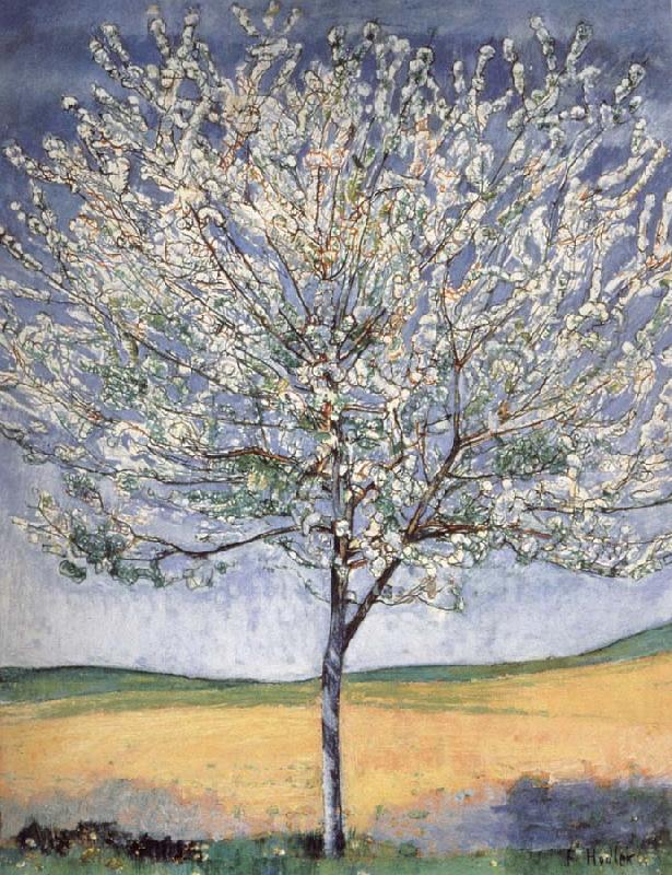 Ferdinand Hodler Cherry tree in bloom Sweden oil painting art